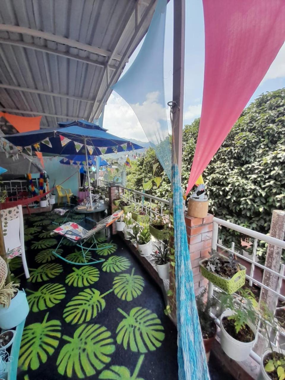 Manoa 
