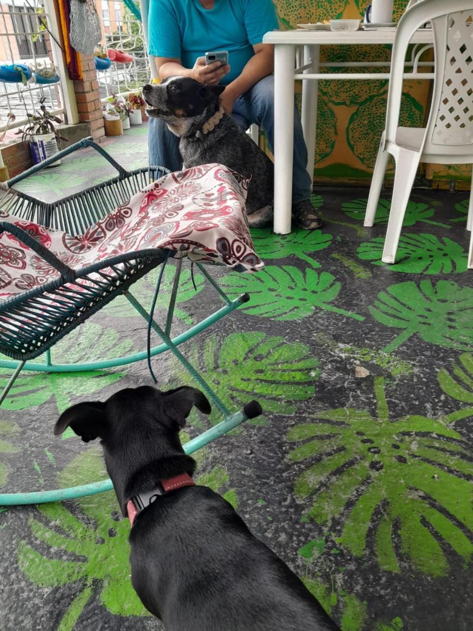 Homestay Manoa 
